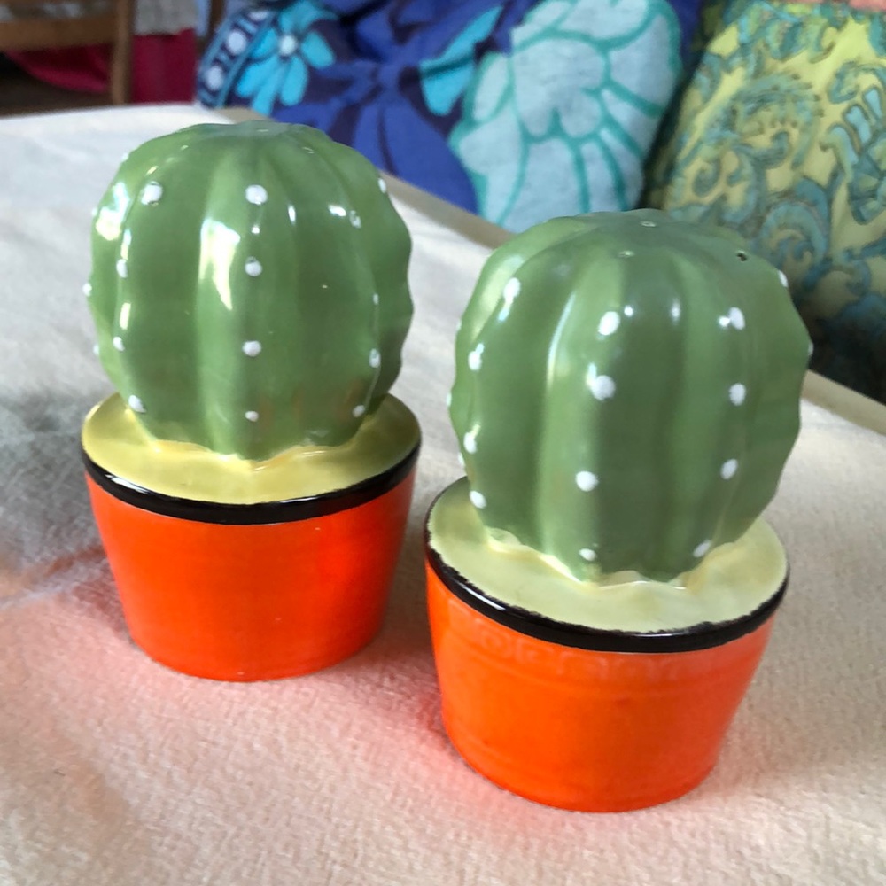 Vintage Cactus Salt and Pepper